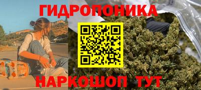 крисы Мариинск