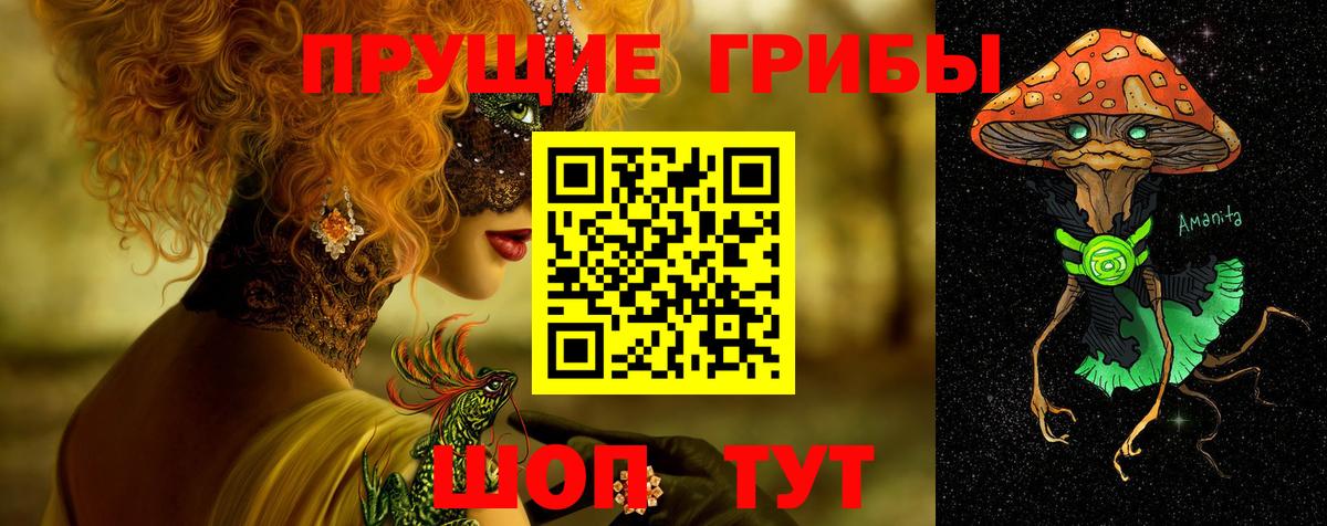 Псилоцибиновые грибы прущие грибы  Вход с VPN  Знаменск 
