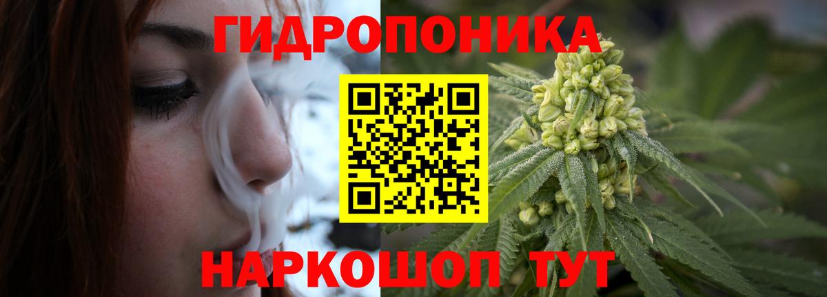 Бошки Шишки SATIVA & INDICA Знаменск